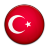 Flag Of Turkey Icon
